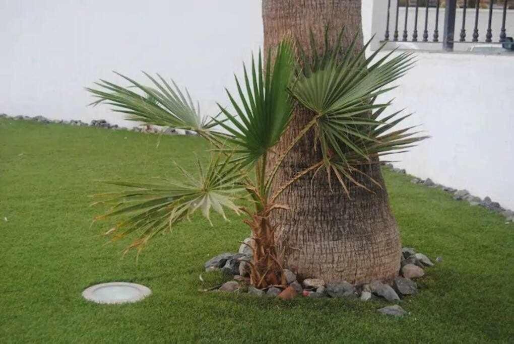 Apartament Habitat Tropical